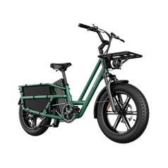 Fiido T2 Longtail Cargo E-bike