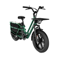 Fiido T2 Longtail Cargo E-bike