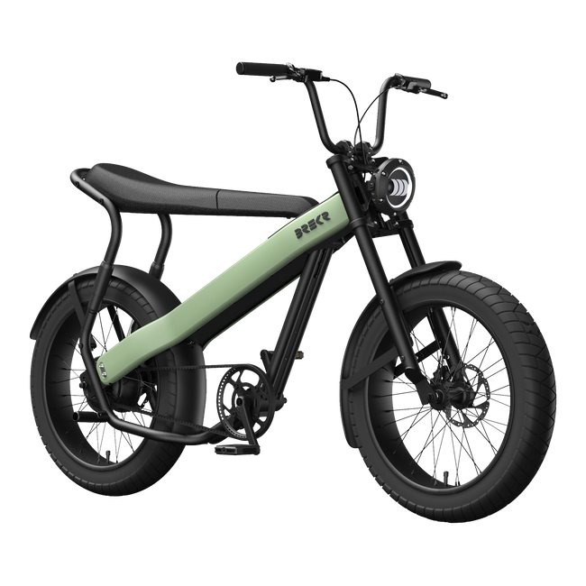 Brekr F250 Saga Light Green